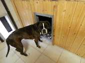 Pension_49