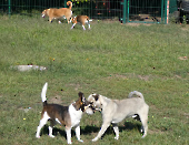 Pension_4