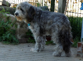 Pension_59