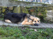 Pension_17