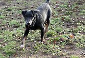 Pension_52