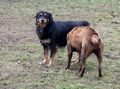 Pension_29