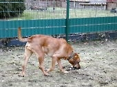 Pension _28