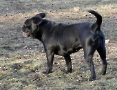 Pension _2