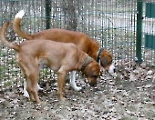 Pension _43