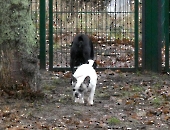 Pension_25