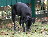 Pension_27