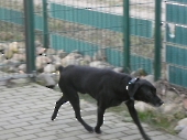 Pension_7