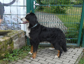 Pension_10