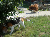 Pension_11