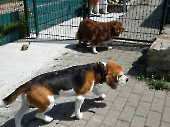 Pension_12