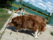 Pension_13