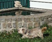 Pension_14