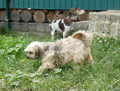 Pension_15