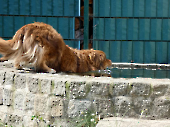 Pension_16