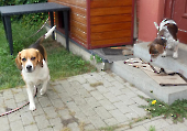 Pension_20