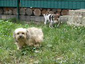 Pension_20