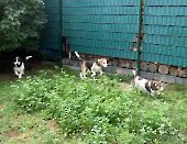 Pension_21