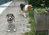 Pension_22