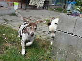 Pension_23