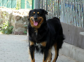 Pension_25
