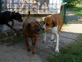 Pension_28