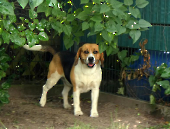 Pension_2