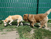 Pension_34
