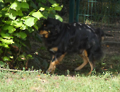 Pension_36