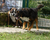 Pension_39