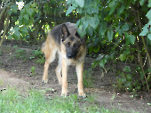 Pension_49
