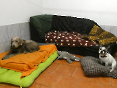 Pension_54