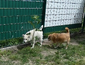 Pension_12
