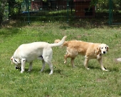 Pension_20