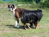 Pension_20