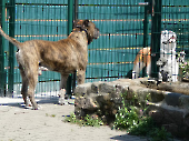 Pension_21
