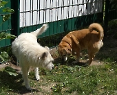 Pension_22