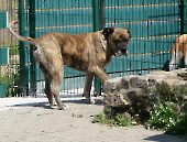 Pension_22