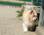Pension_23