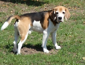 Pension_24