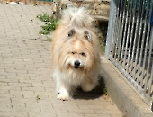 Pension_24