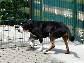 Pension_27