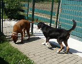 Pension_27