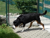 Pension_28