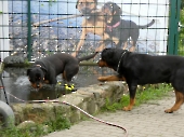 Pension_2