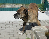 Pension_30