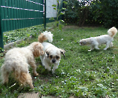 Pension_44