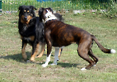 Pension_66