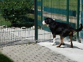 Pension_69
