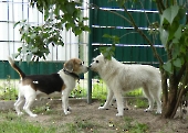 Pension_6